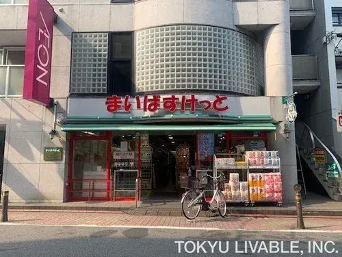 3LDK+S Tokyo Ota-ku Property (12)
