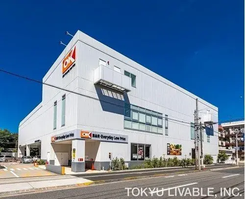 3LDK+S Tokyo Ota-ku Property (13)