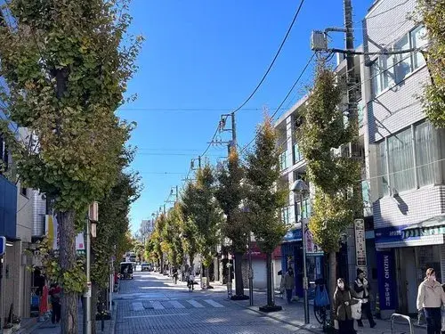 4LDK Property Setagaya-ku Tokyo (25)