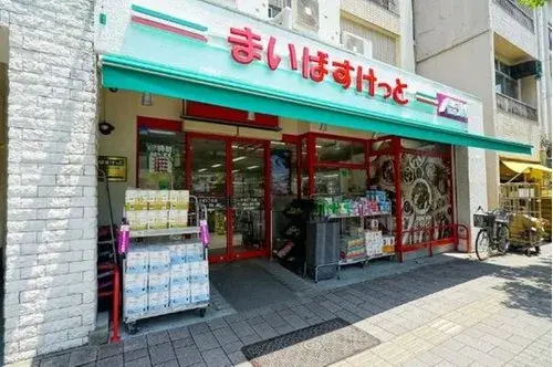 7LDK+S Property Taito-ku Tokyo (12)