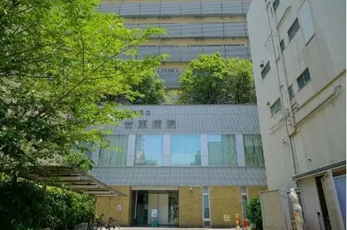 7LDK+S Property Taito-ku Tokyo (14)