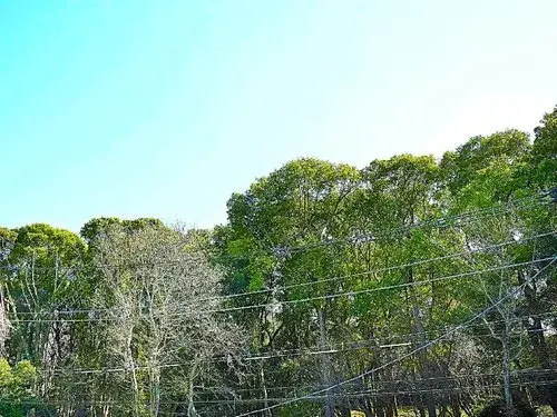 1LDK+2S Setagaya-ku, Tokyo (19)