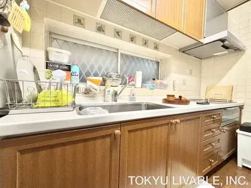 4LDK Property Kawasaki City Kanagawa Prefecture (11)