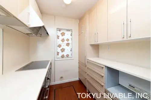 三室两厅一厨加储藏室房源 川崎市 神奈川县 (18)