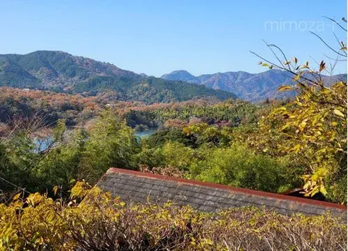[عقار 6DK] Ito City Shizuoka Prefecture (15)