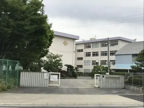 Slide 7