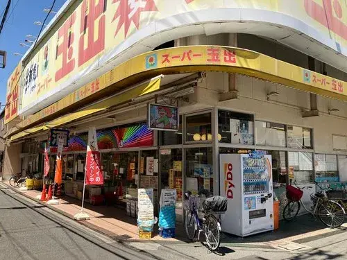 4LDK Property Osaka City Osaka Prefecture (13)