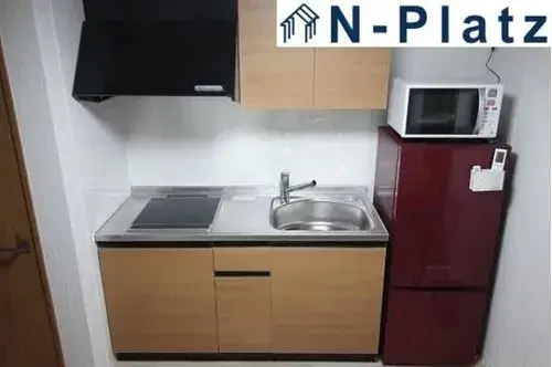 3K Property Osaka City Osaka Prefecture (11)