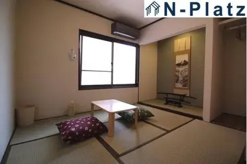 3K Property Osaka City Osaka Prefecture (6)
