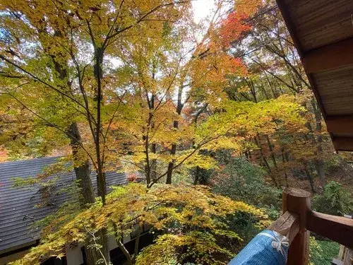 2LDK物件 廿日市市 広島県 (18)