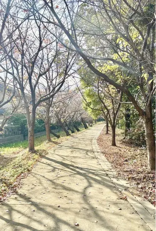 عقار 4LDK Shingu-machi محافظة Fukuoka (18)
