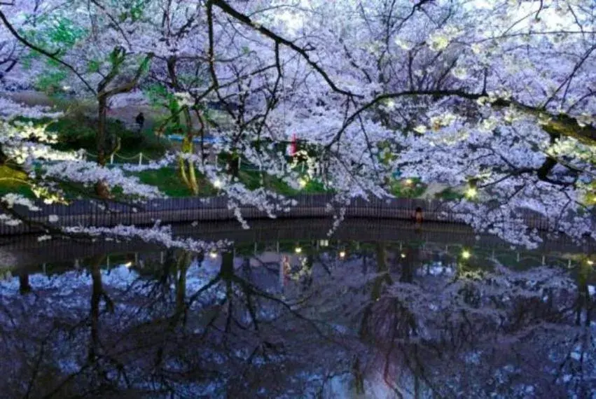 2SLDK Property Sakai City Osaka Prefecture (18)