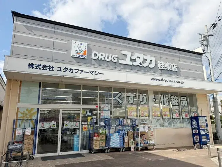 8DK Kyoto City Kyoto Prefecture (11)