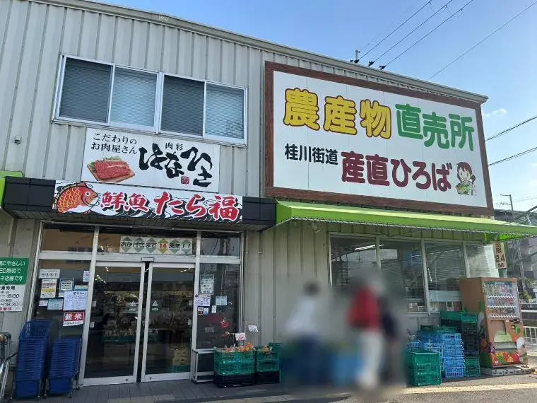 8DK Kyoto City Kyoto Prefecture (9)