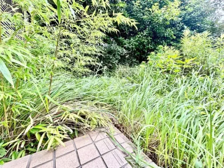 3SLDK Property in Ota Ward, Tokyo (33)