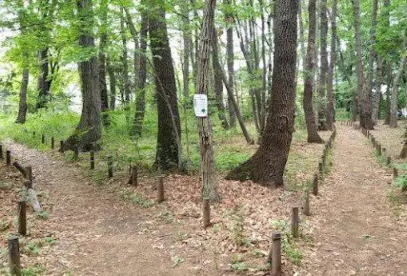 2DK 东久留米市 东京都 (14)