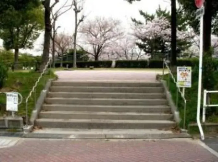 Slide 17