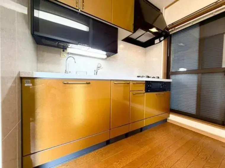 5LDK or more property Minato-ku Tokyo (18)