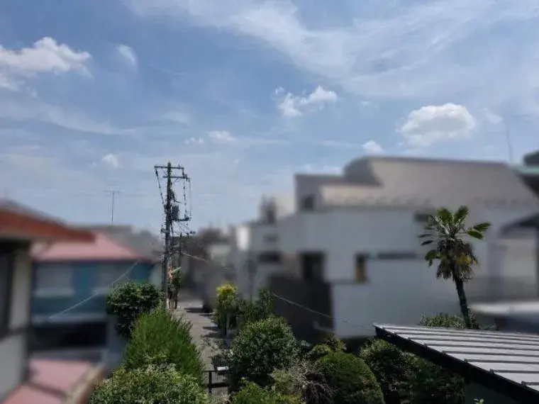 5LDK Setagaya-ku Tokyo (2)