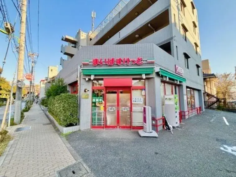 5LDK Setagaya-ku Tokyo (32)