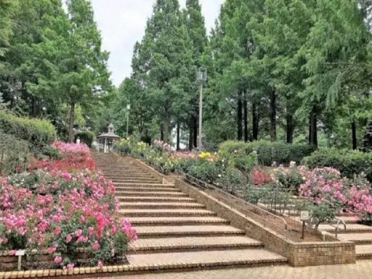 3LDK Property Sagamihara City Kanagawa Prefecture (35)