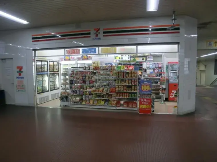 4LDK Property Osaka City Osaka Prefecture (18)