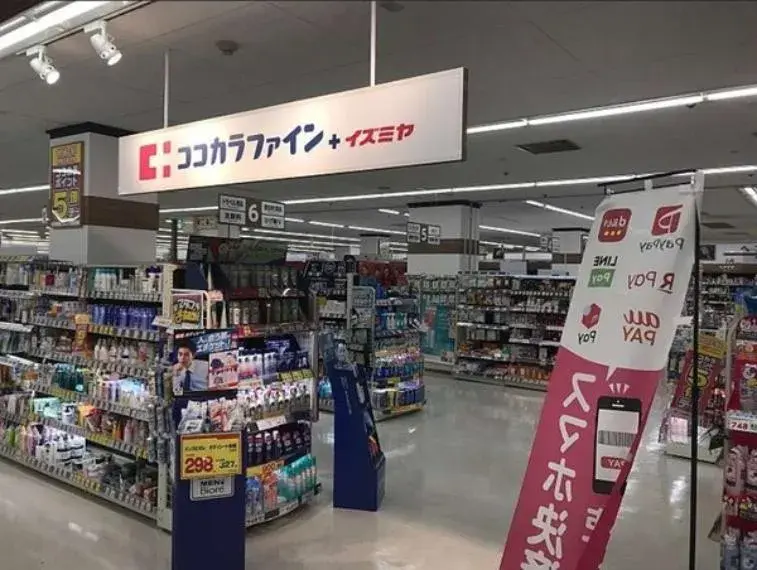 4LDK Property Osaka City Osaka Prefecture (20)