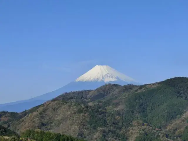 عقار من 7 غرف مدينة Izu محافظة Shizuoka (15)