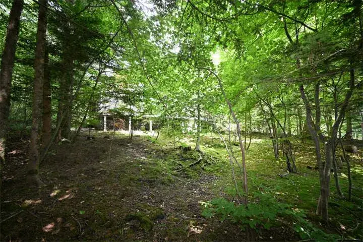 Propiedad 3LDK en Karuizawa-machi, Prefectura de Nagano (28)