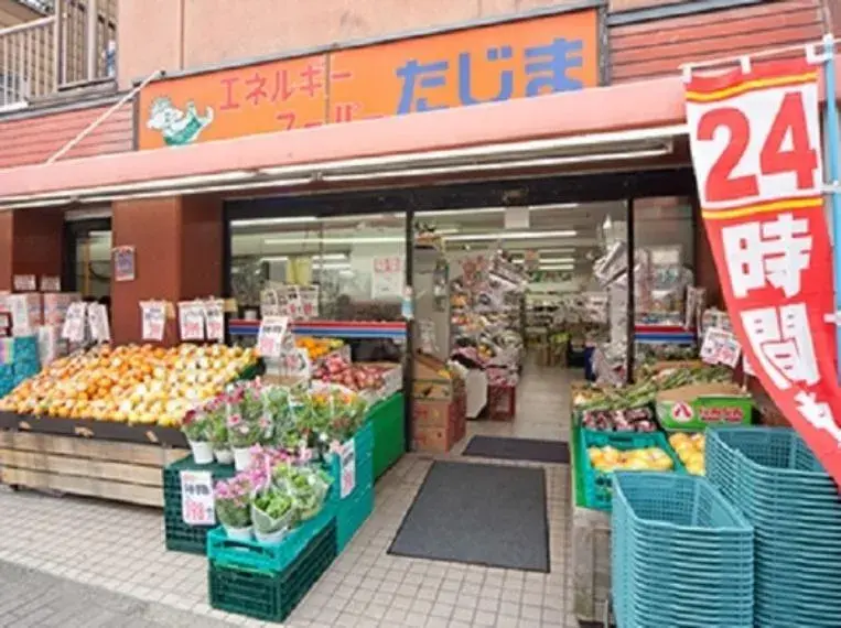 5SLDK Sumida-ku Tokyo Property (12)