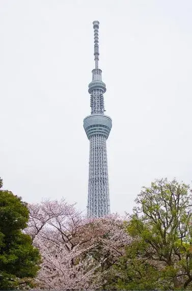 5SLDK Sumida-ku Tokyo Property (15)