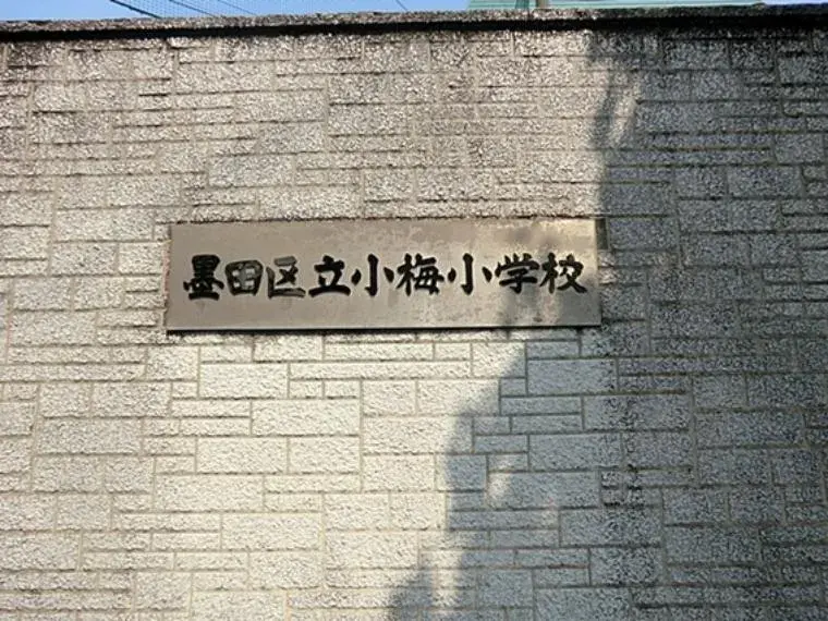 5SLDK Sumida-ku Tokyo Property (10)