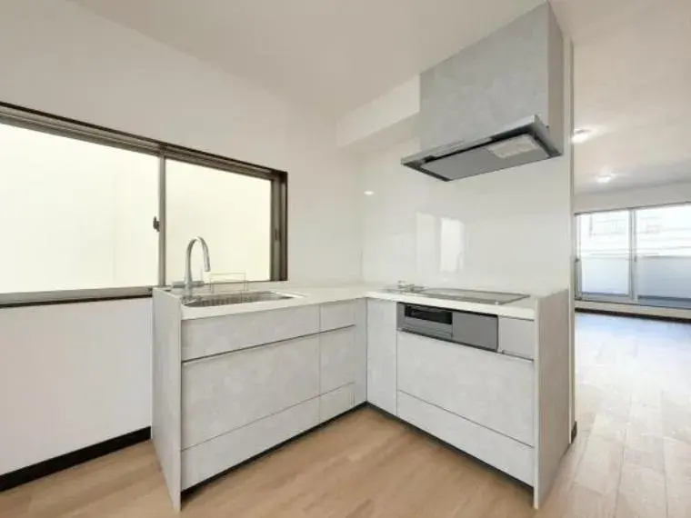 4LDK Property Osaka City Osaka Prefecture (20)