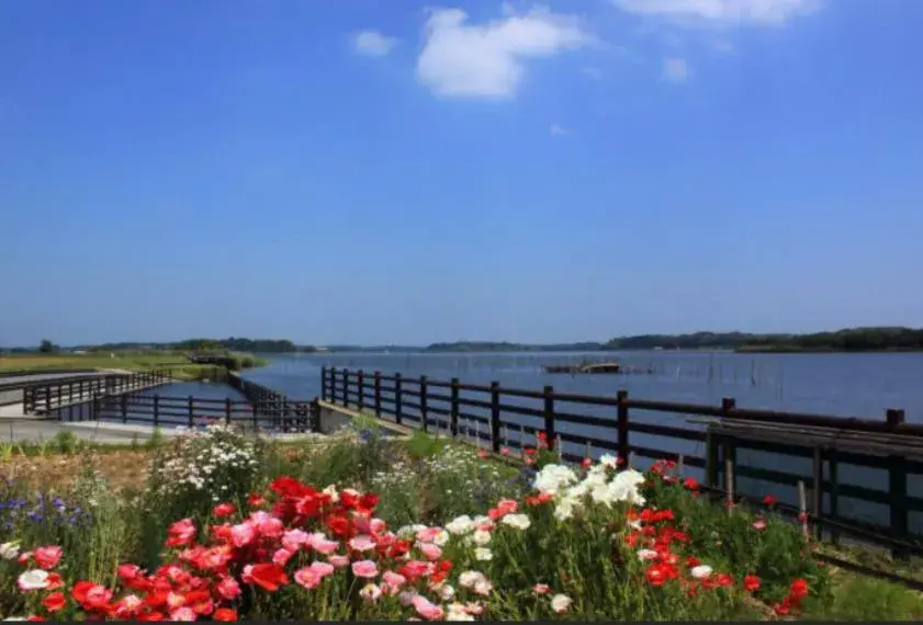 4DK Property Toride City Ibaraki Prefecture (24)