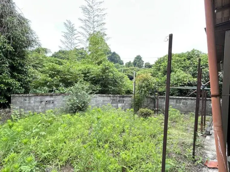 Slide 4