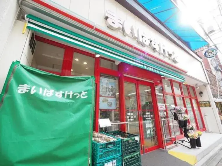 3LDK Property Arakawa Ward Tokyo (30)