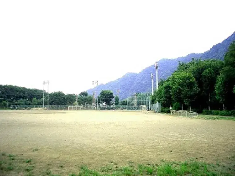 Slide 7