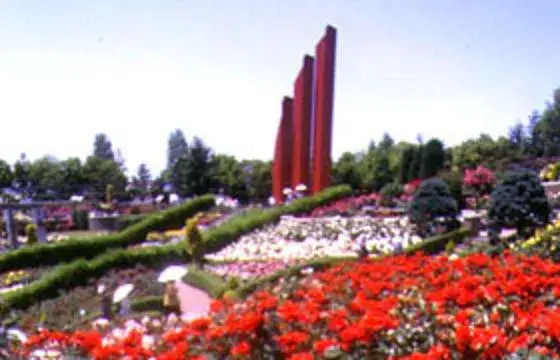 Slide 31