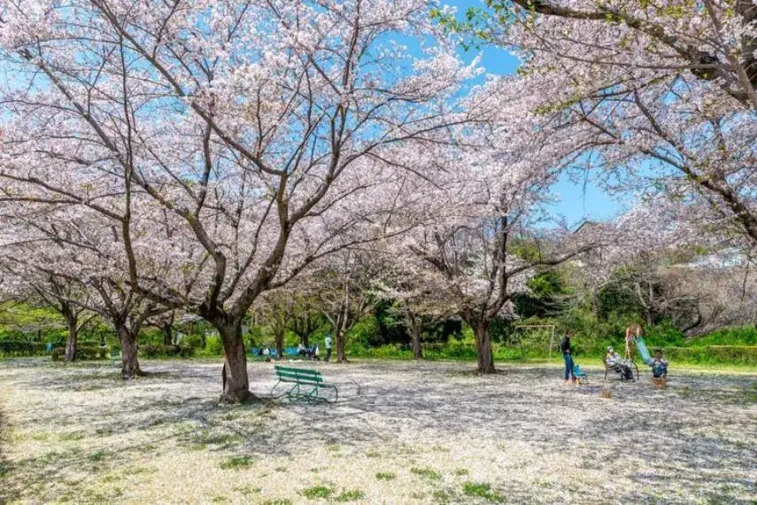4LDK Property Sayama-shi Saitama (9)