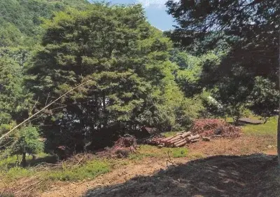 Slide 19