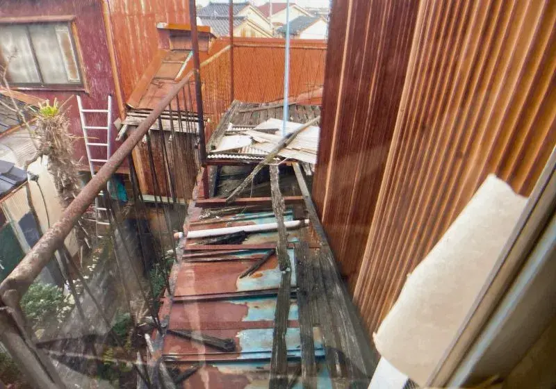 Slide 6