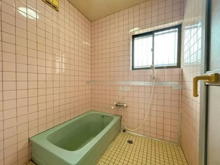 4LDK Property Nobeoka City Miyazaki Prefecture (26)