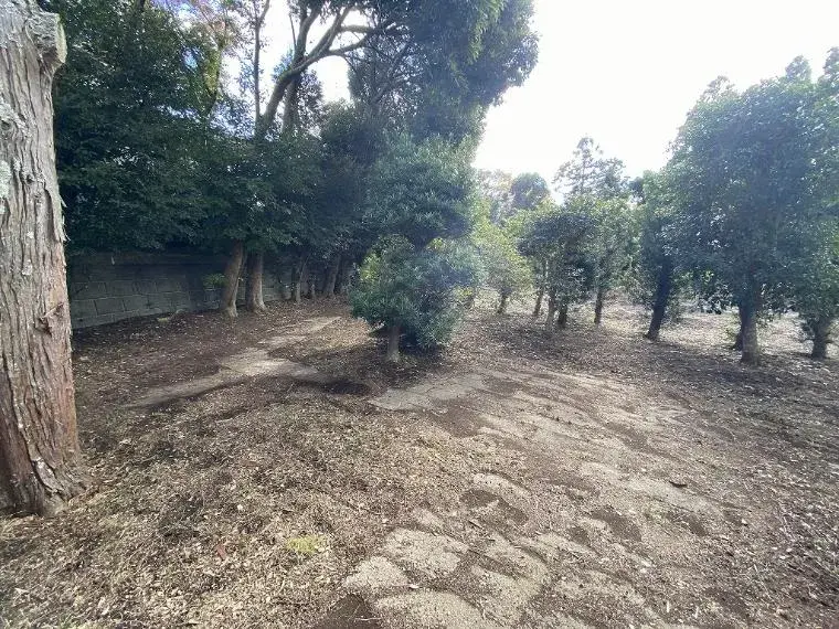 3LDK Property Isumi City Chiba Prefecture (35)