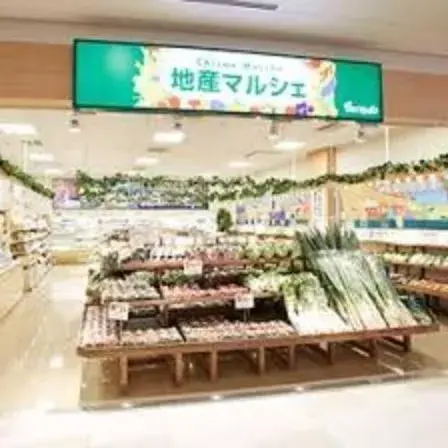 3LDK Property Shinjuku-ku Tokyo (15)