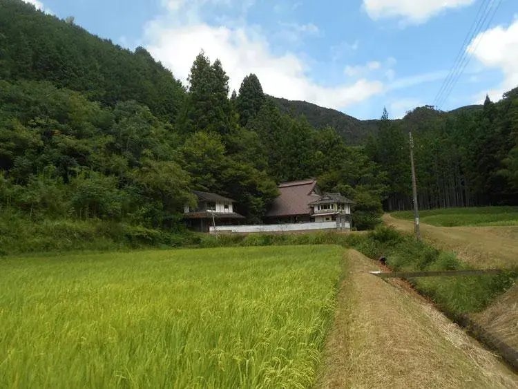 1K公寓 丹波篠山市 兵庫县 (4)
