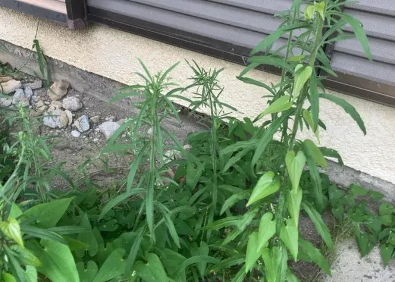 3LDK 愛甲郡愛川町 神奈川県 (25)