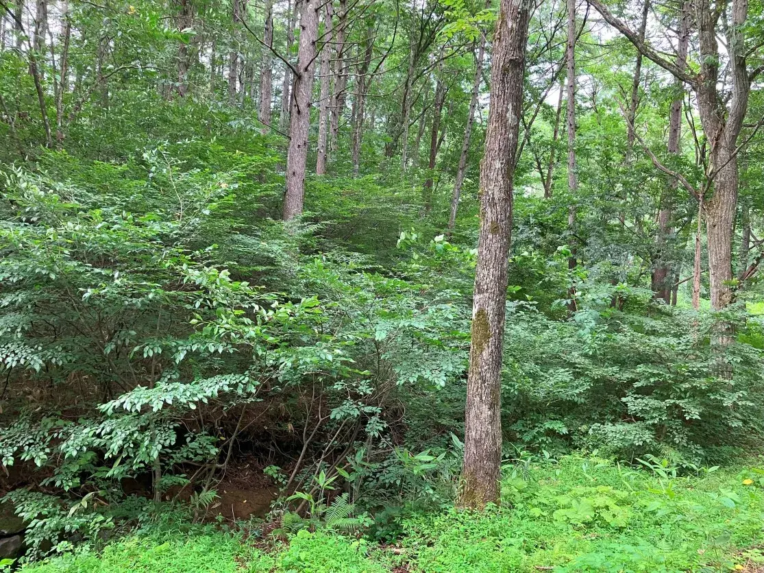 Akiya in Nagano