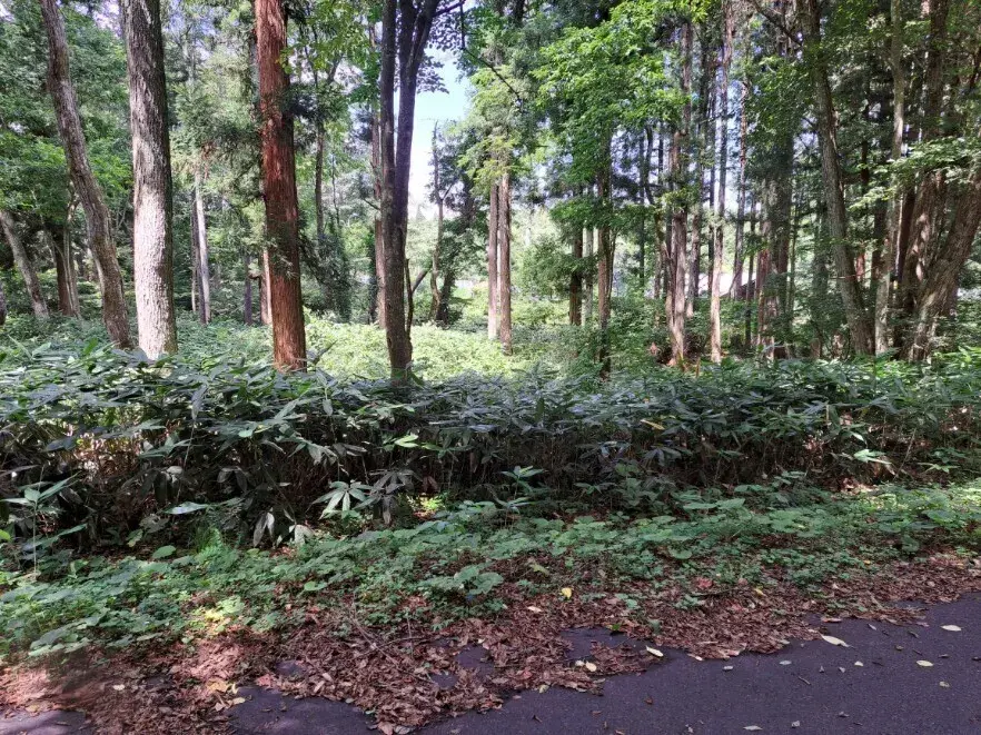 Akiya in Nagano