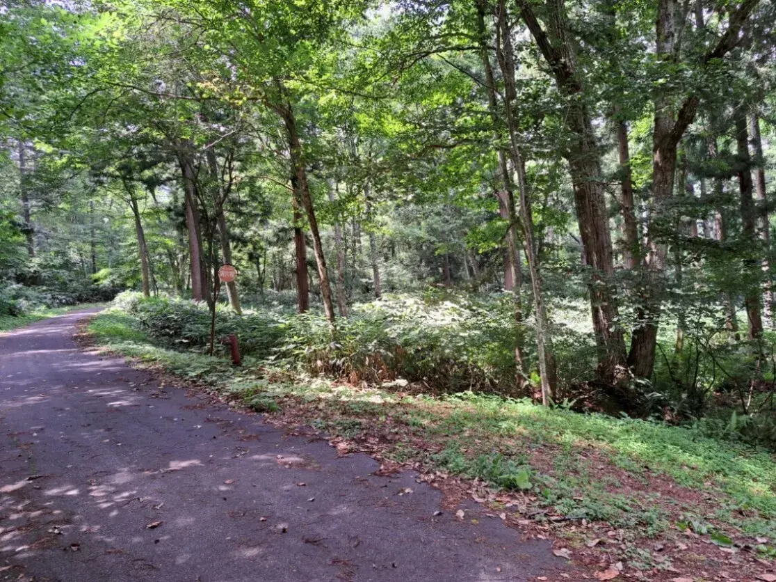 [空置房屋]
上水内郡饭纲町
长野县 (2)