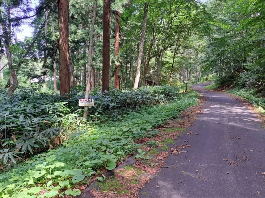 [空置房屋]
上水内郡饭纲町
长野县 (3)